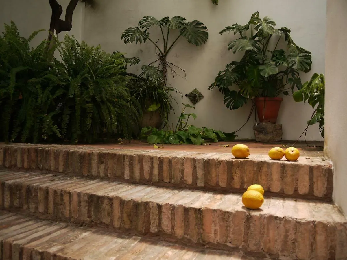 Entre2Mezquitas 6 Appartement Córdoba